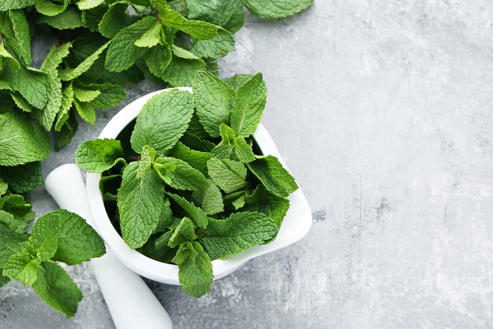 NATURAL PEPPERMINT ESSENCE Sentrex Ingredients