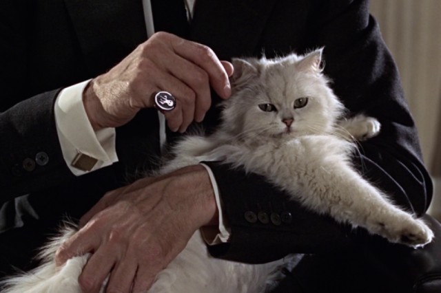 Blogging for World Domination