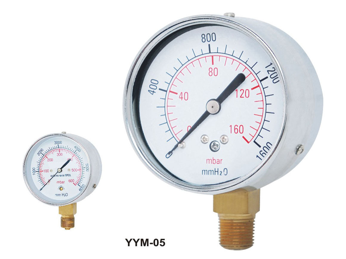 YYM Series Capsule Pressure Gauge