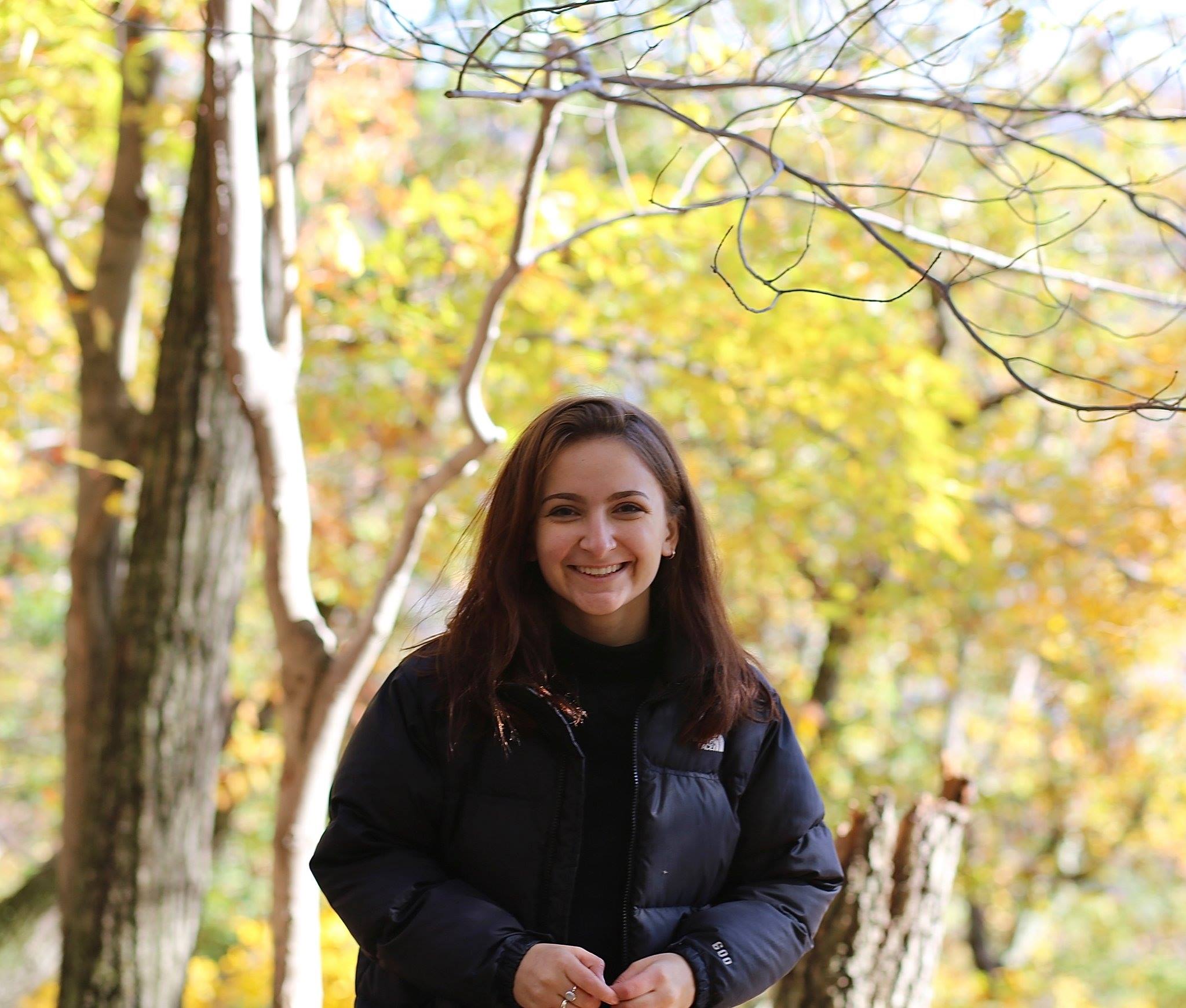 SEO Equity Atlanta Digital Marketing Services Made Easy