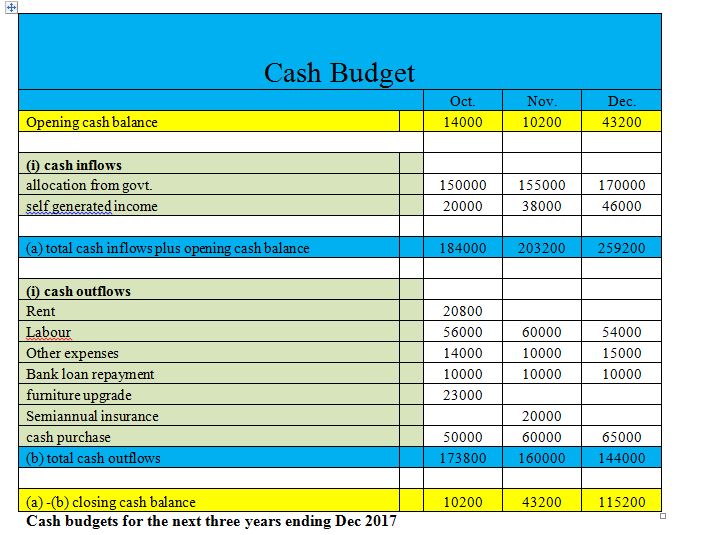 Unit 2 Managing Financial Resources and Decisions Solution