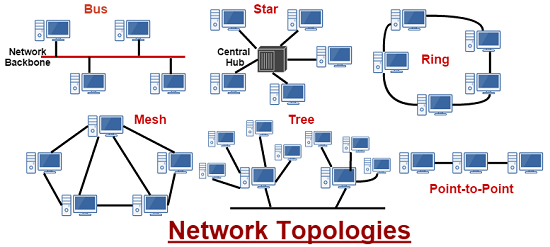 Unit 24 Network Topology Assignment Locus Assignment help