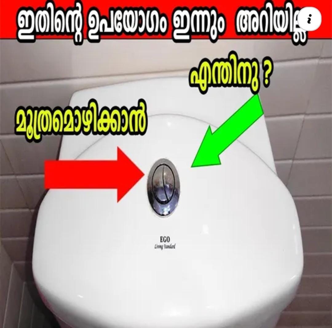 The Surprising Consequences of Pushing Toilet Seat Buttons SEOKOK