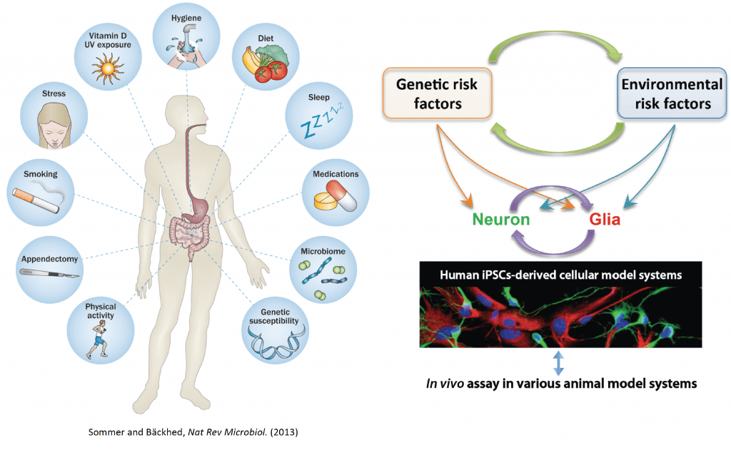 The effect of environmental factors and lifestyle on Alzheimer’s