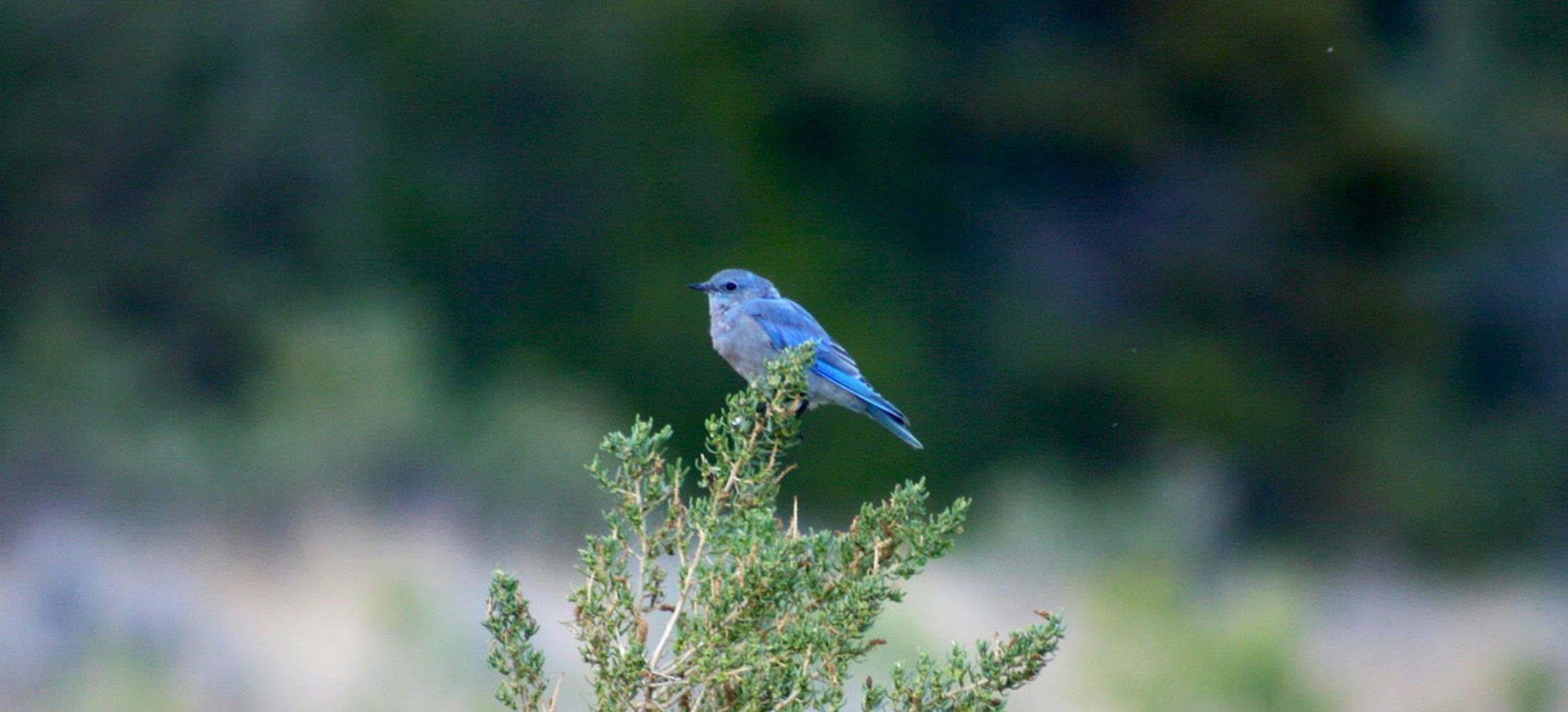 Blog Visit Southeast Montana