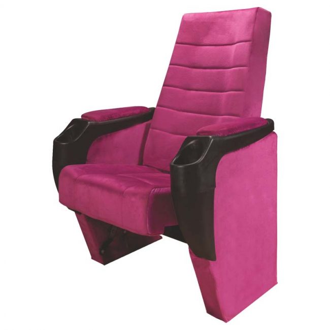 Auditorium & Cinema Chairs Manufacturer Vadodara Theater & Recliner