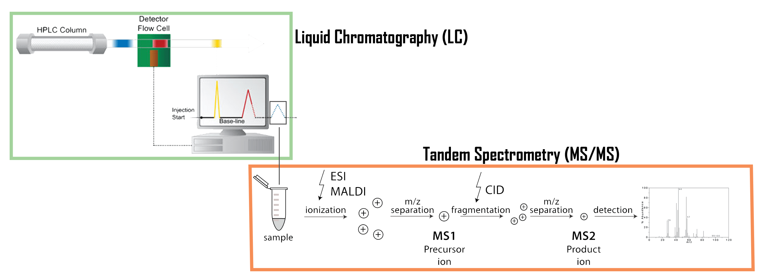 Protein Identification ABRPITraining