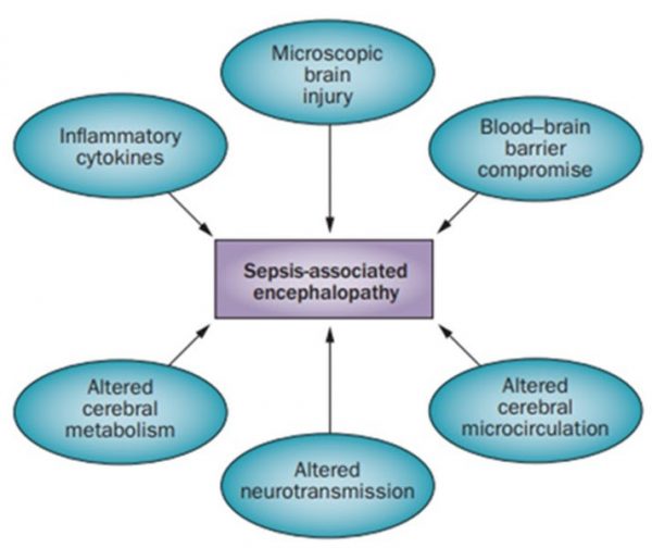 Sepsis Associated Encephalopathy (SAE) Sepsis Program Optimization