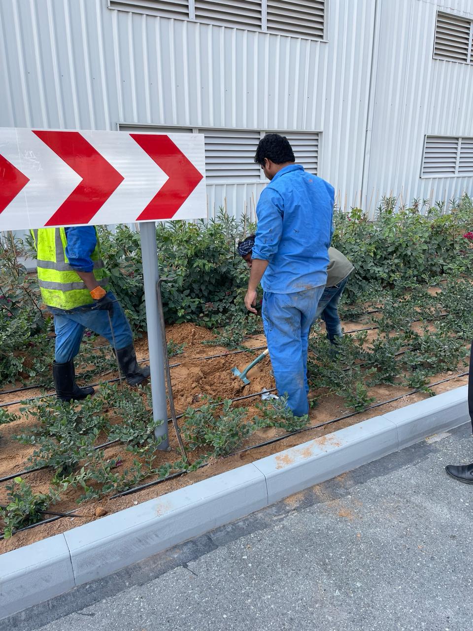 Septic & Drain Pro Services