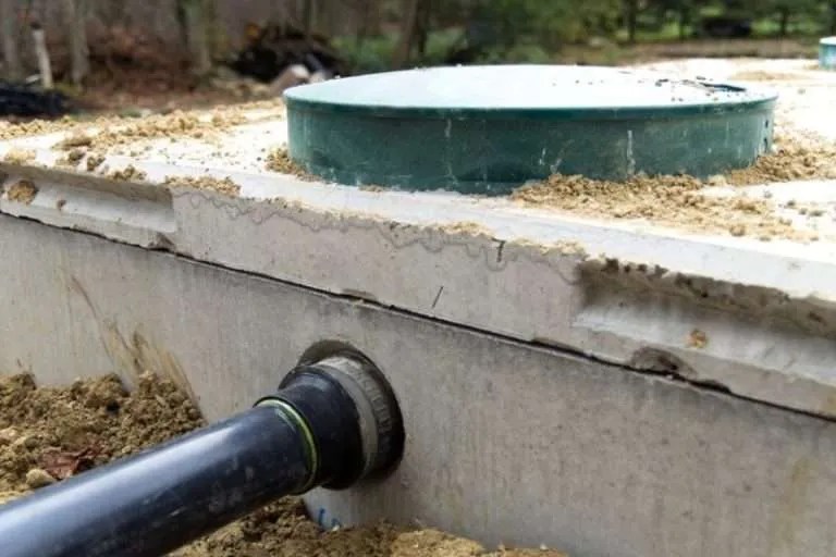 Septic Tank Bacteria The Good and the Bad Septic Tank Guy