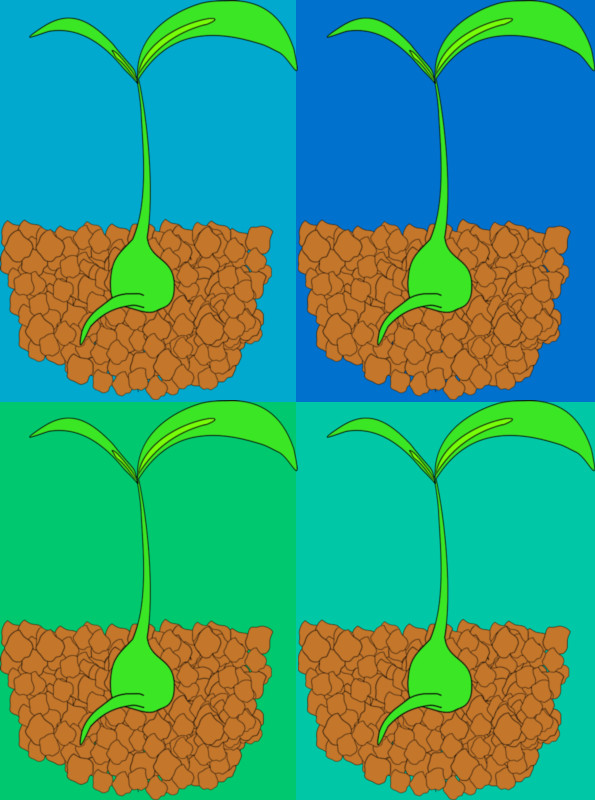 High Yield Varieties Septisphere
