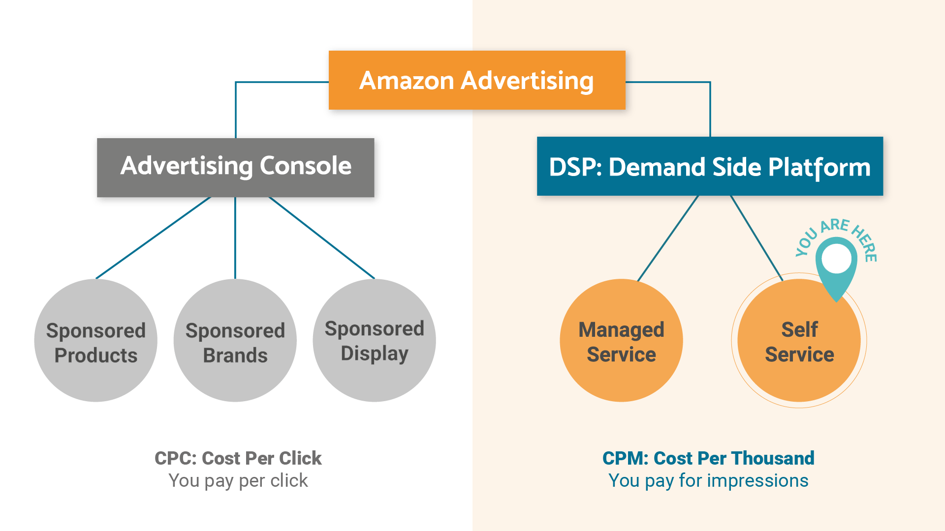 What is Amazon DSP Unveiling the Advertising Powerhouse