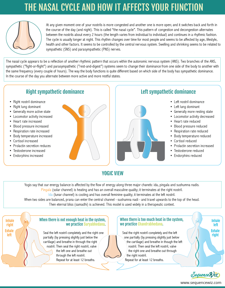 NasalCycle Sequence Wiz