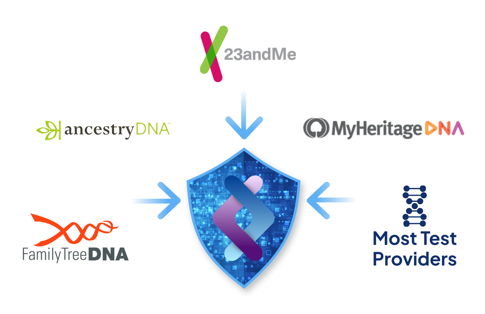 Promethease Open Source Biology & Interest Group