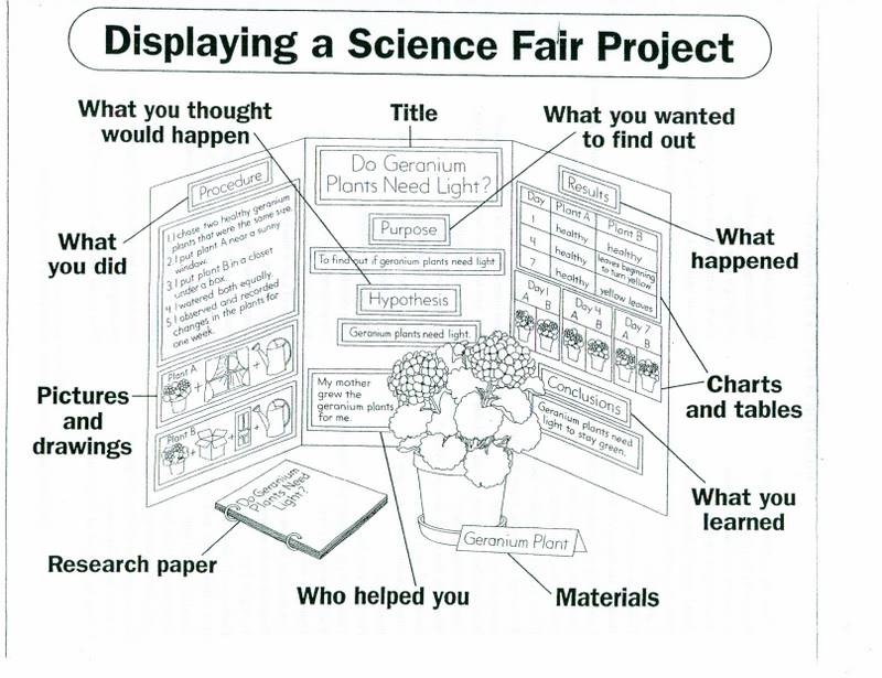 Science Fair Sequoia Parents Association