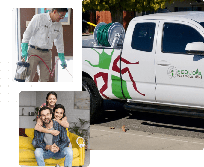 Sequoia Pest Solutions