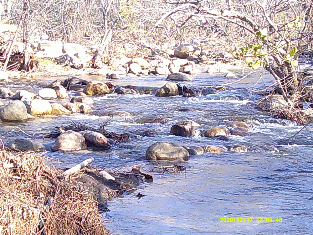 Rustic Suite Escape in Three Rivers, CA, Vacation Rental on the Kaweah