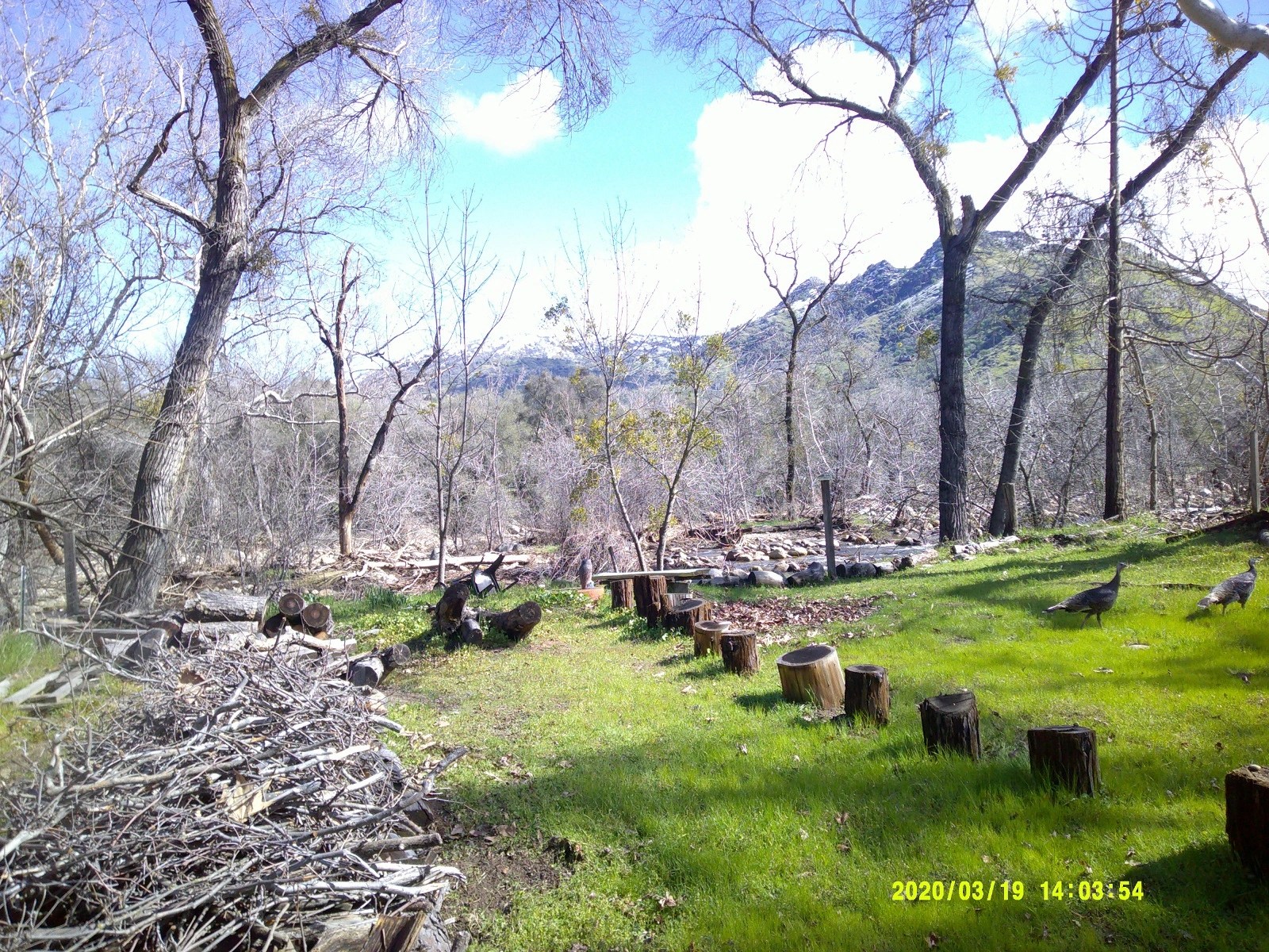 Rustic Suite Escape in Three Rivers, CA, Vacation Rental on the Kaweah