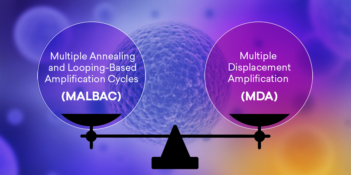 MALBAC and MDA Optimize Whole Genome Amplification (WGA)