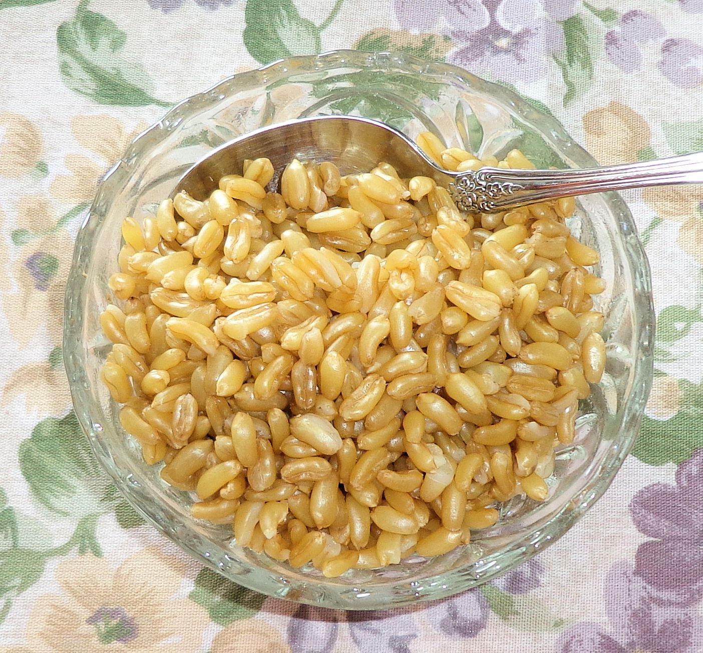 Ancient Grains sercadia