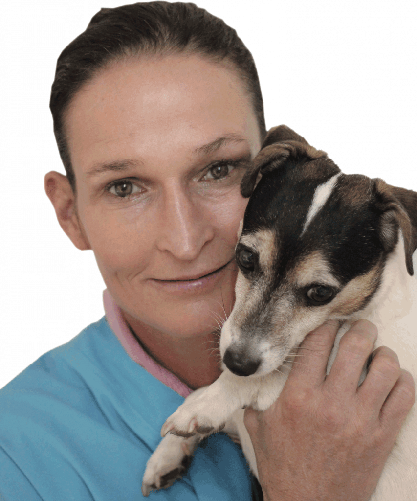 Our Team NEW Veterinary Surgeons