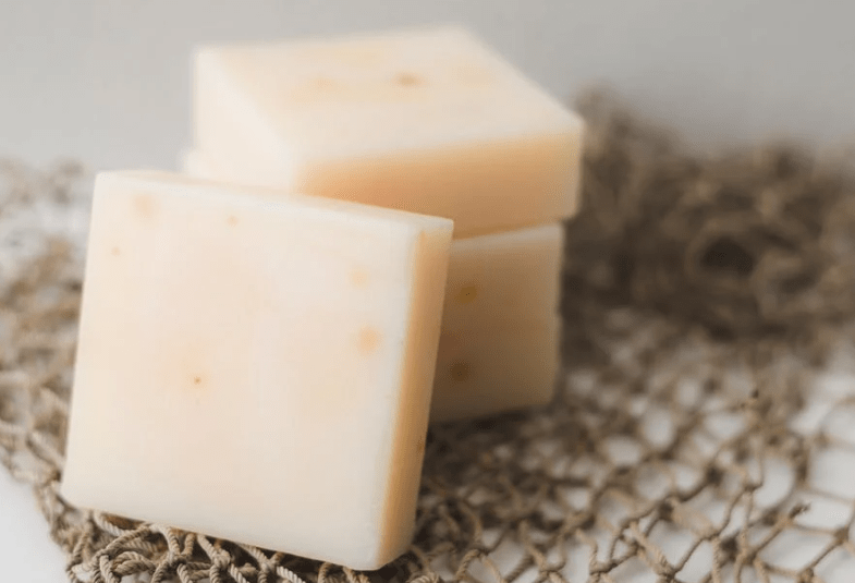 Can You Compost Cheese? SERC Online Can You Compost Cheese?