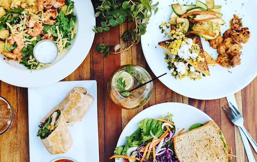 The Top Vegan Restaurants in St. Augustine, Florida SERC Online