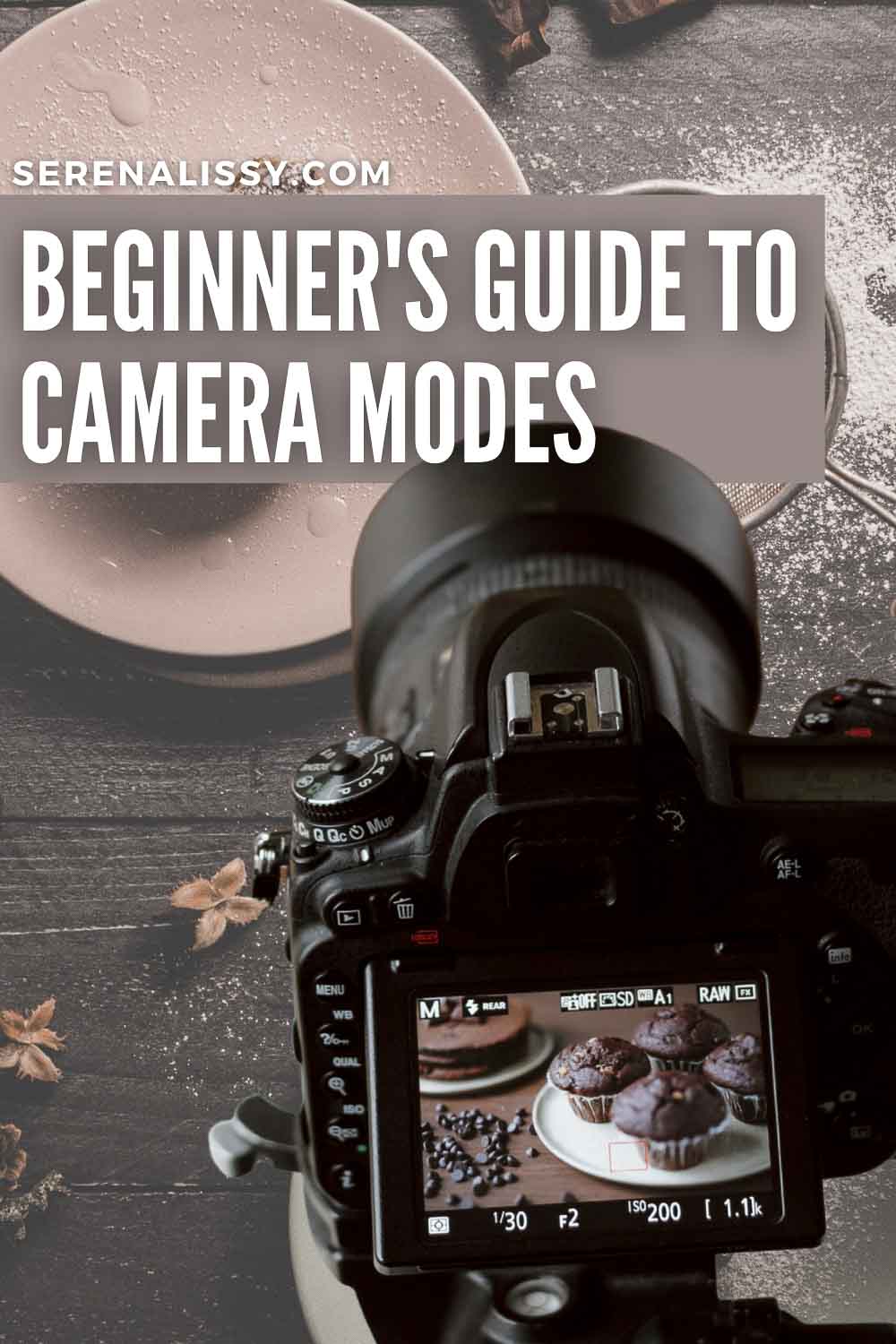 Camera Modes A Beginner's Guide to Camera Settings