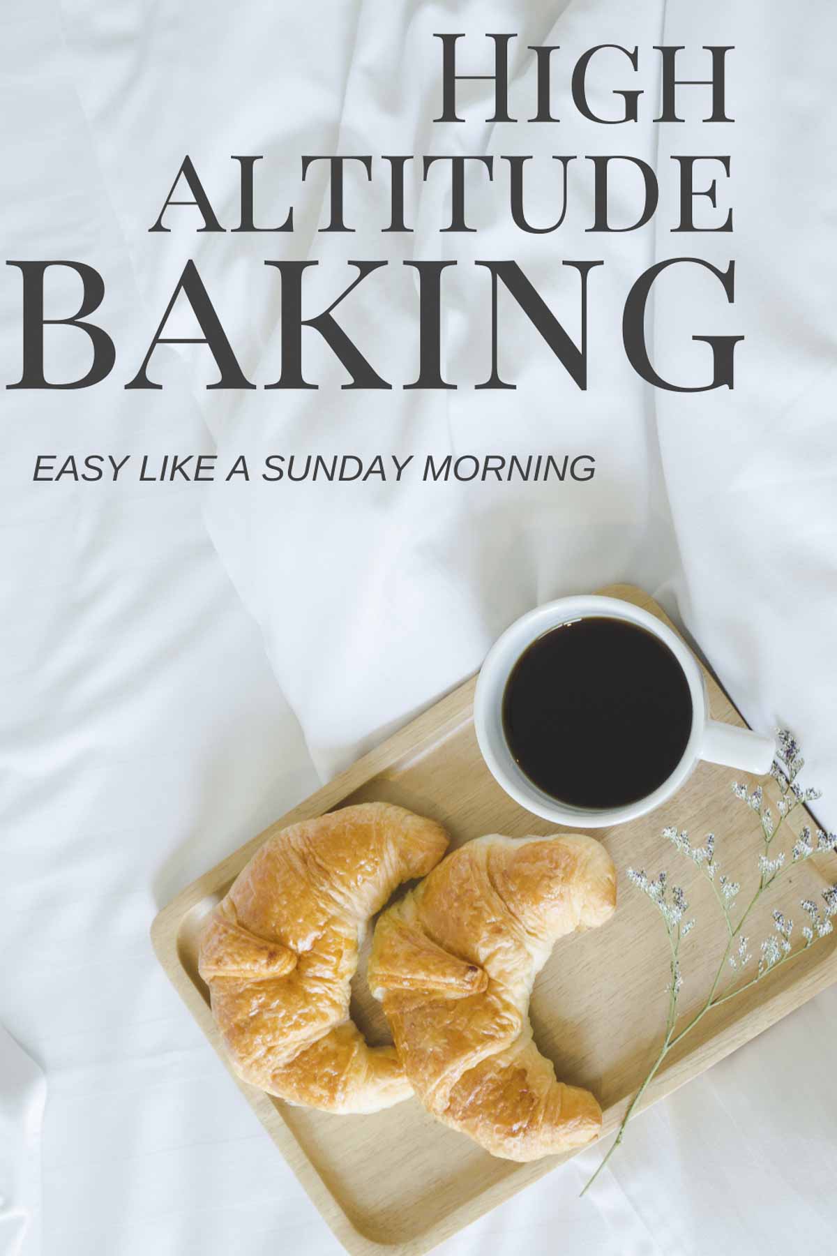 Tips For Baking At High Altitude Serena Lissy