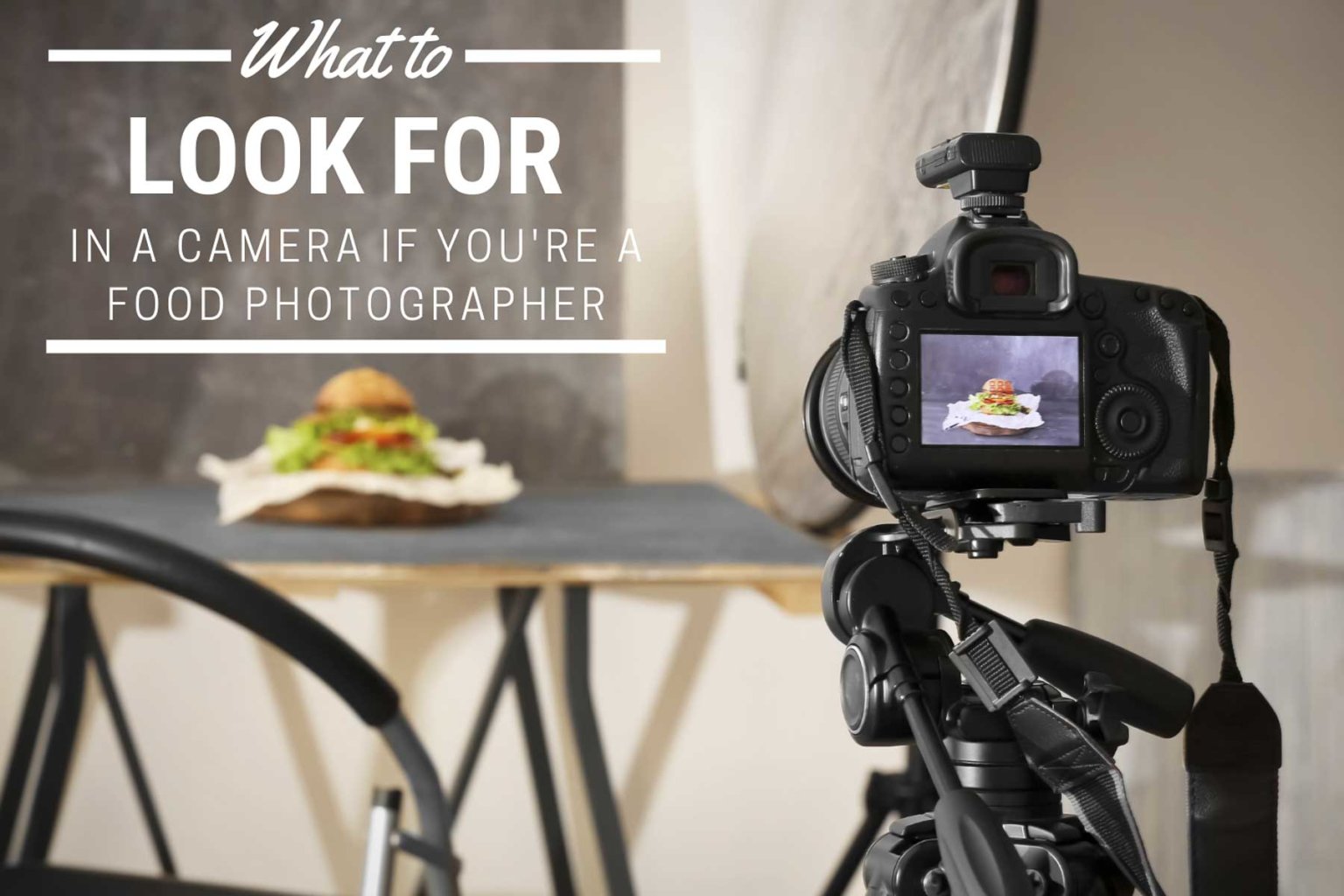 6 Tips for Finding the Best Camera for Food Photography Serena Lissy