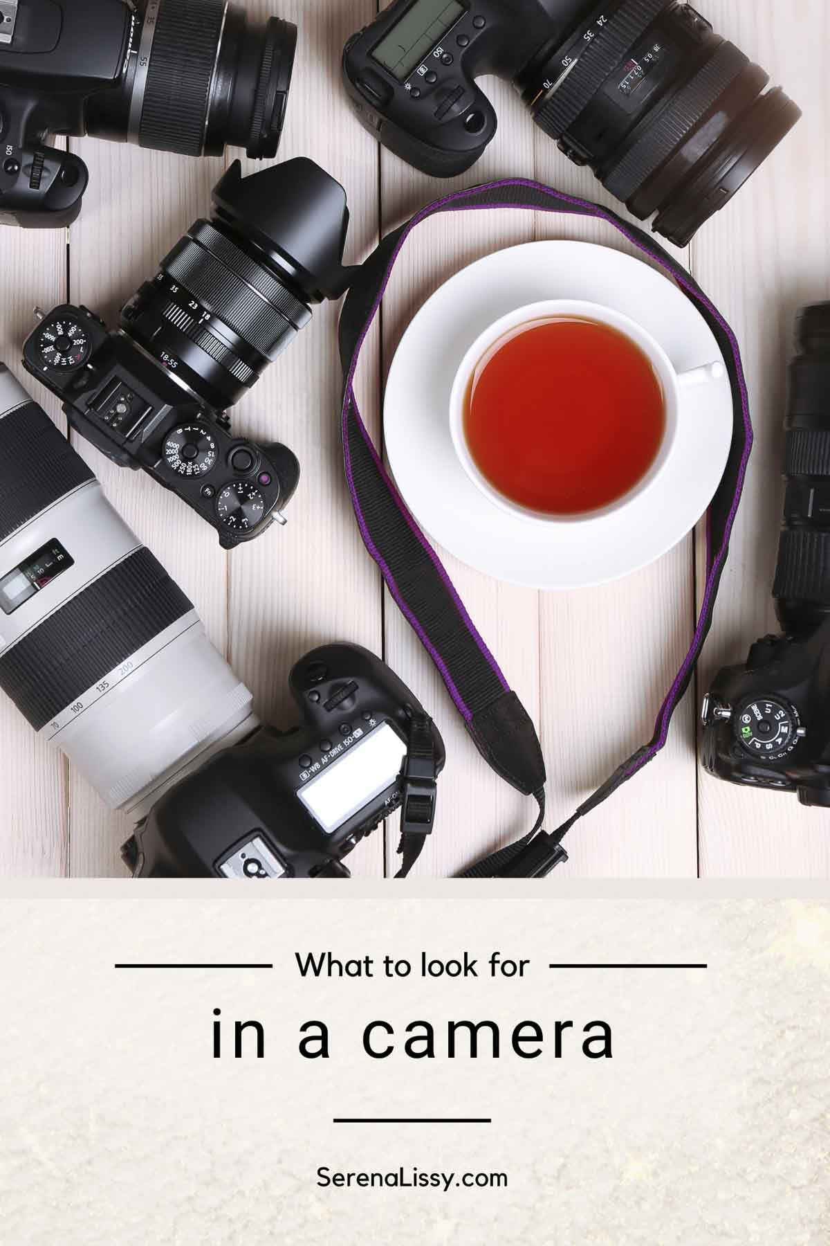 6 Tips for Finding the Best Camera for Food Photography Serena Lissy