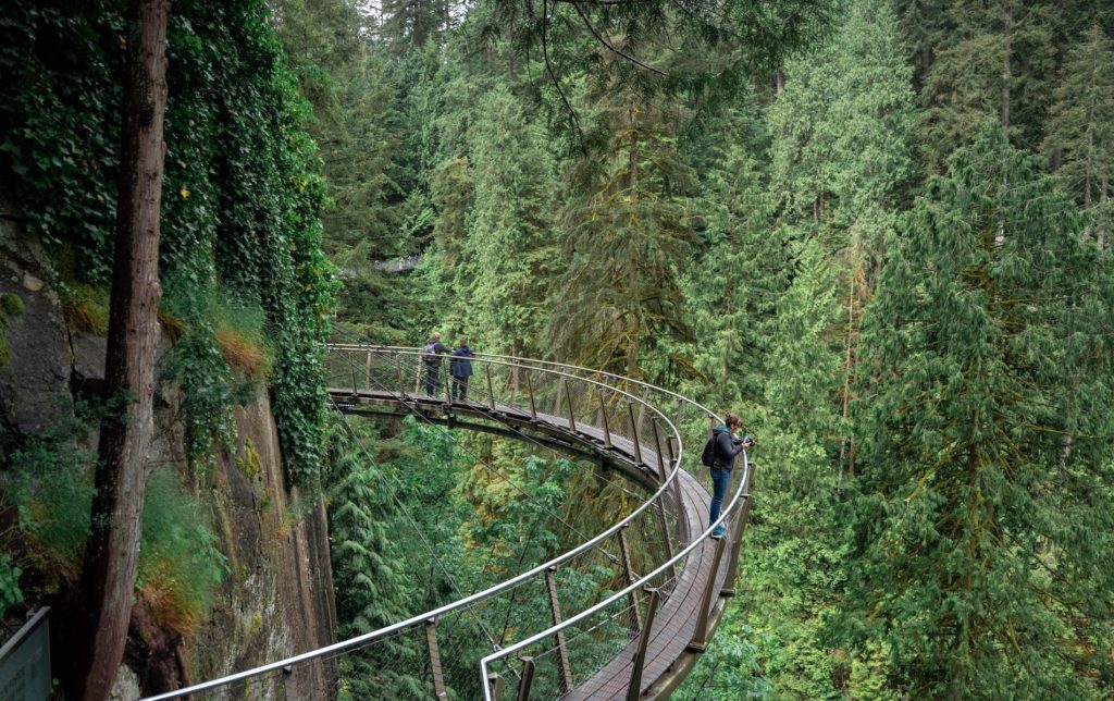 How to Get the Best Photos at Capilano Suspension Bridge Photo Tips