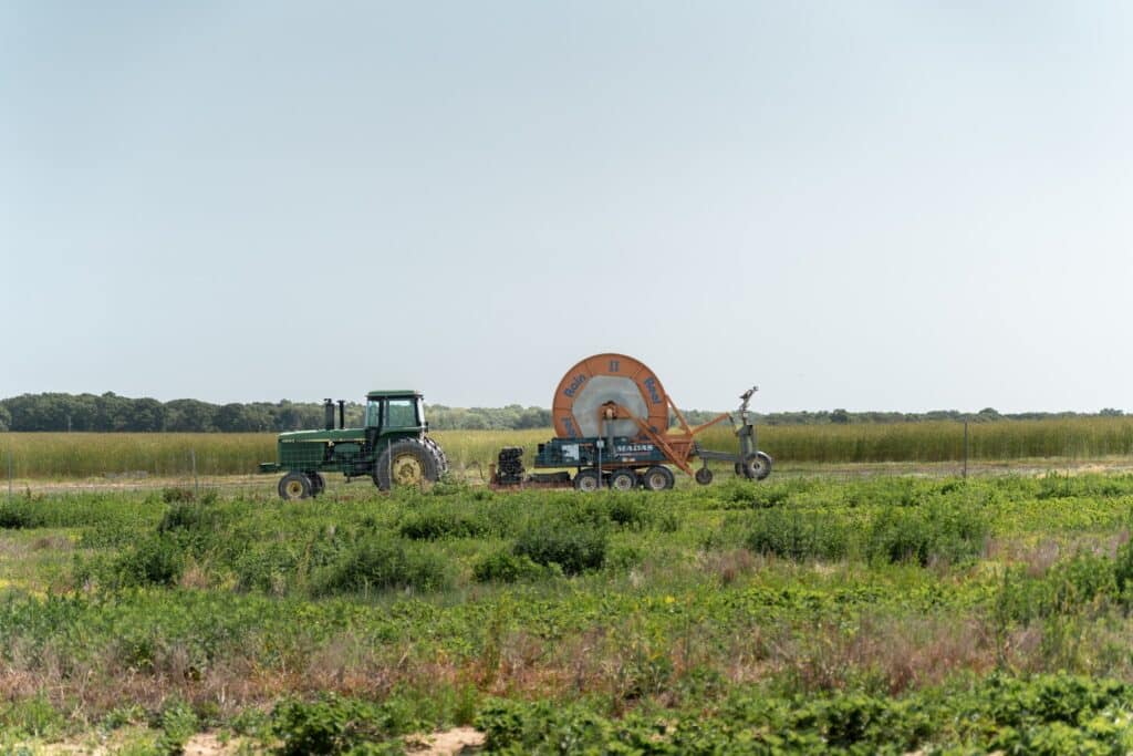 Where to Go Apple Picking on Long Island, New York