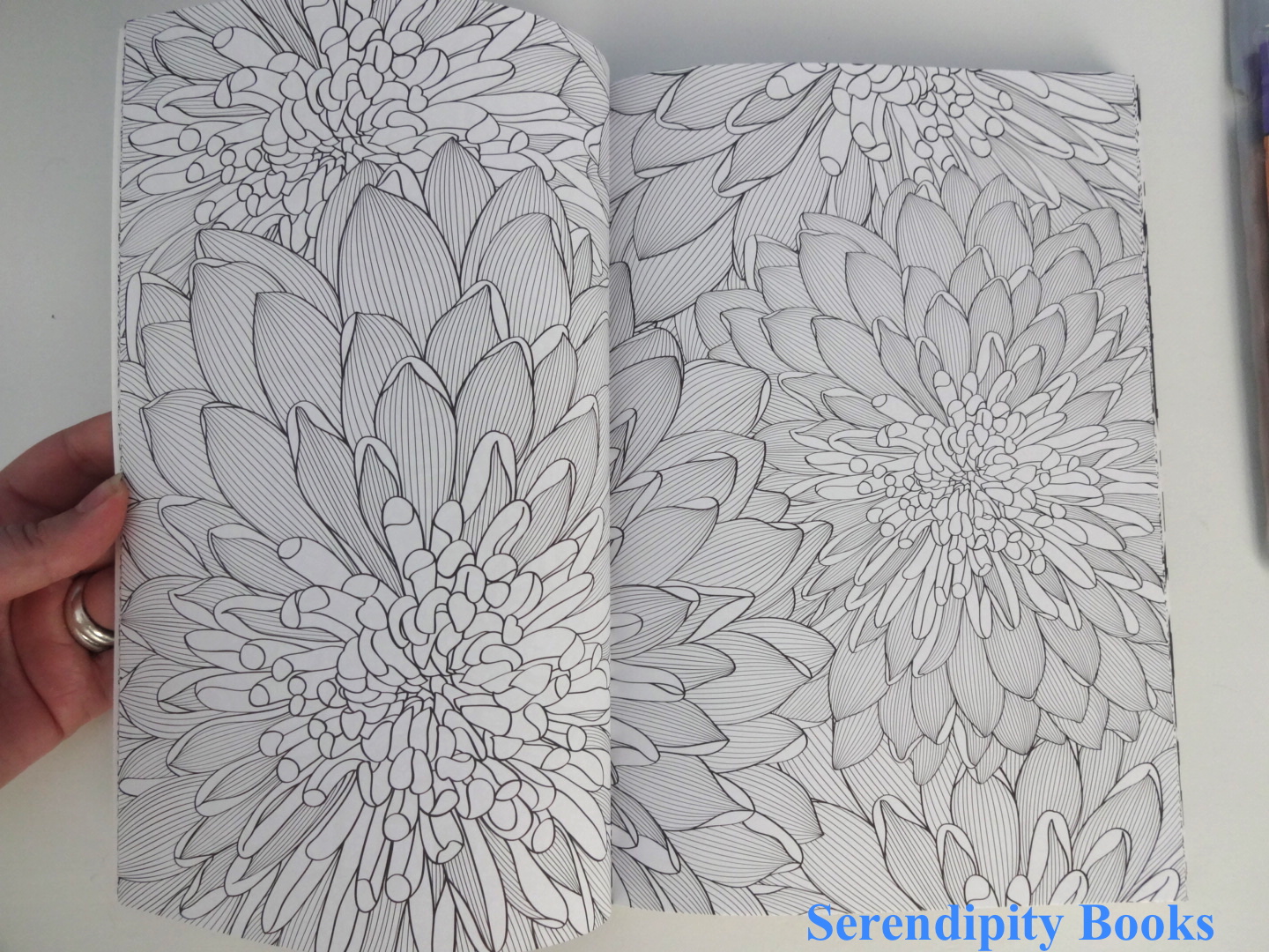 Het Vierde Enige Echte Kleurboek Voor Volwassenen - Serendipity Books