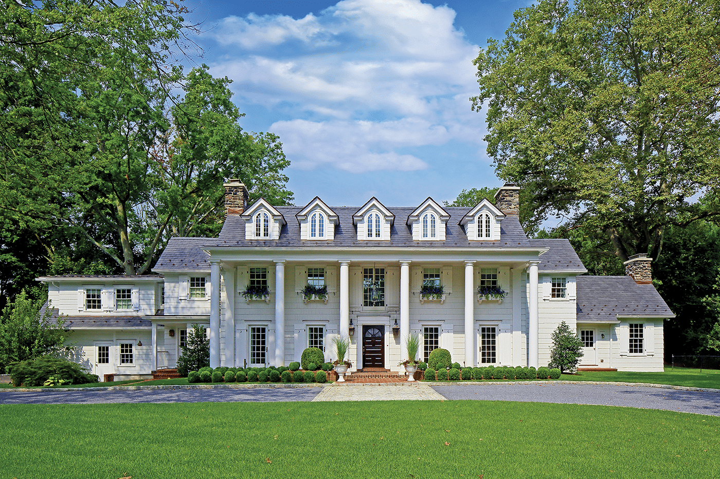 On the Market Rye, NY Serendipity