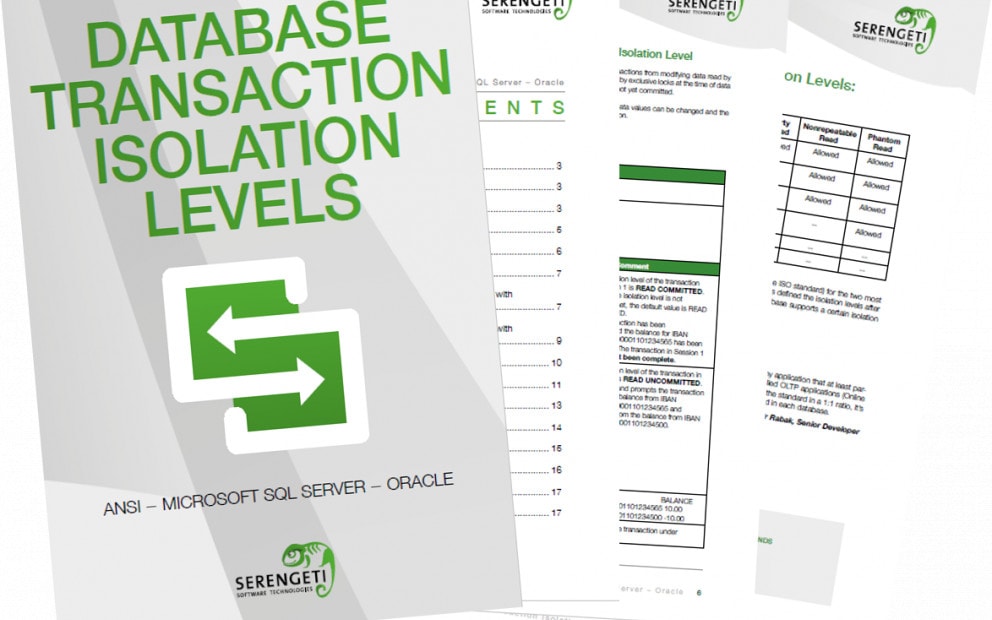 Database Transaction Isolation Level Serengeti
