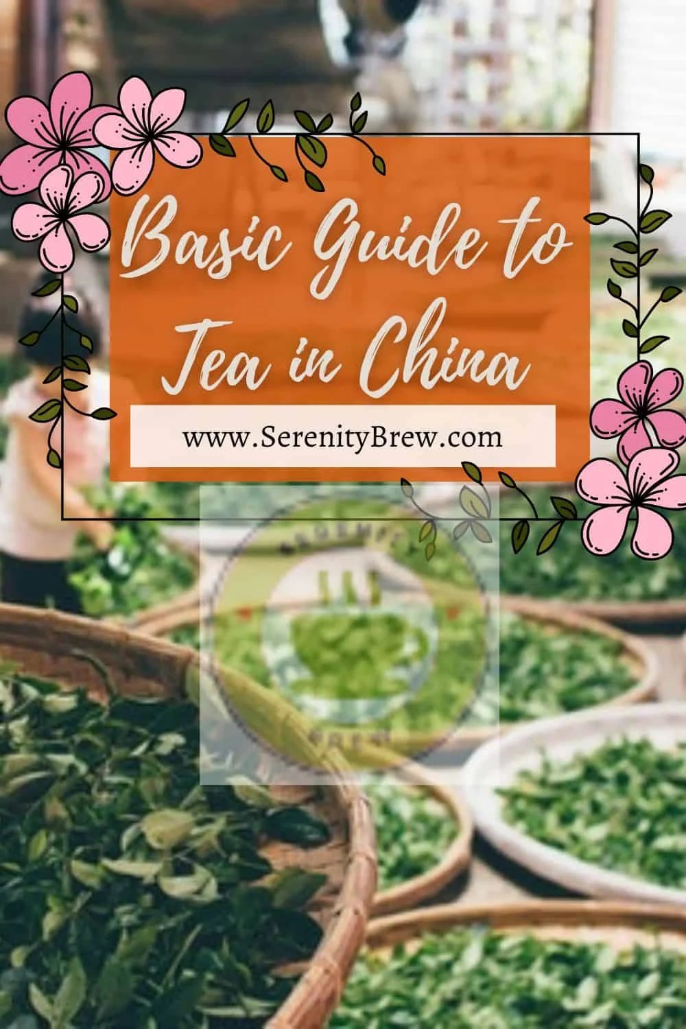 Teas from China Serenity Brew