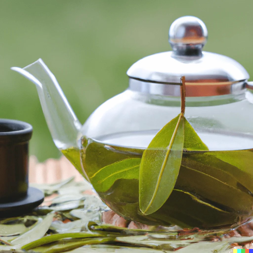 Coca Leaf Tea Side Effects Serenity Brew