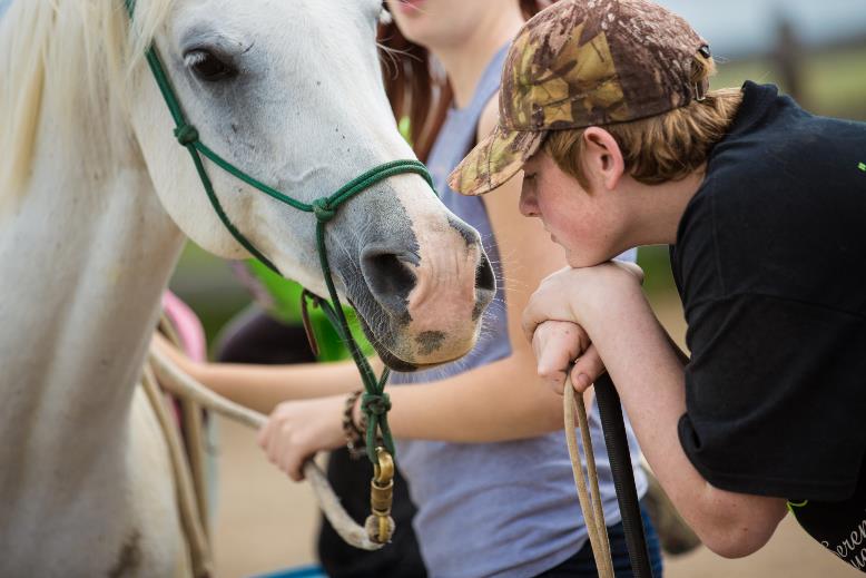 photogallery » SerenityEquestrian