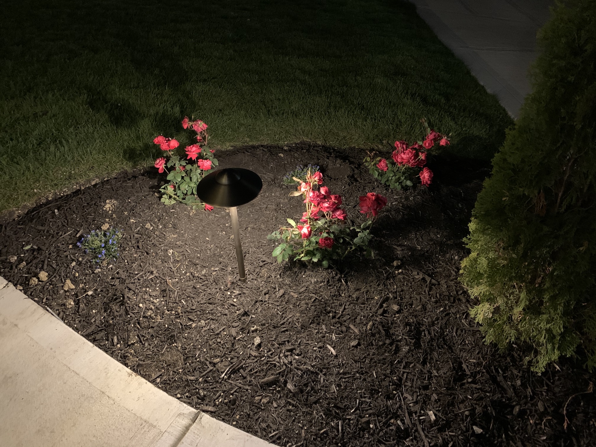 Path Lights What They Are & Why They Are Important Serenity Outdoor