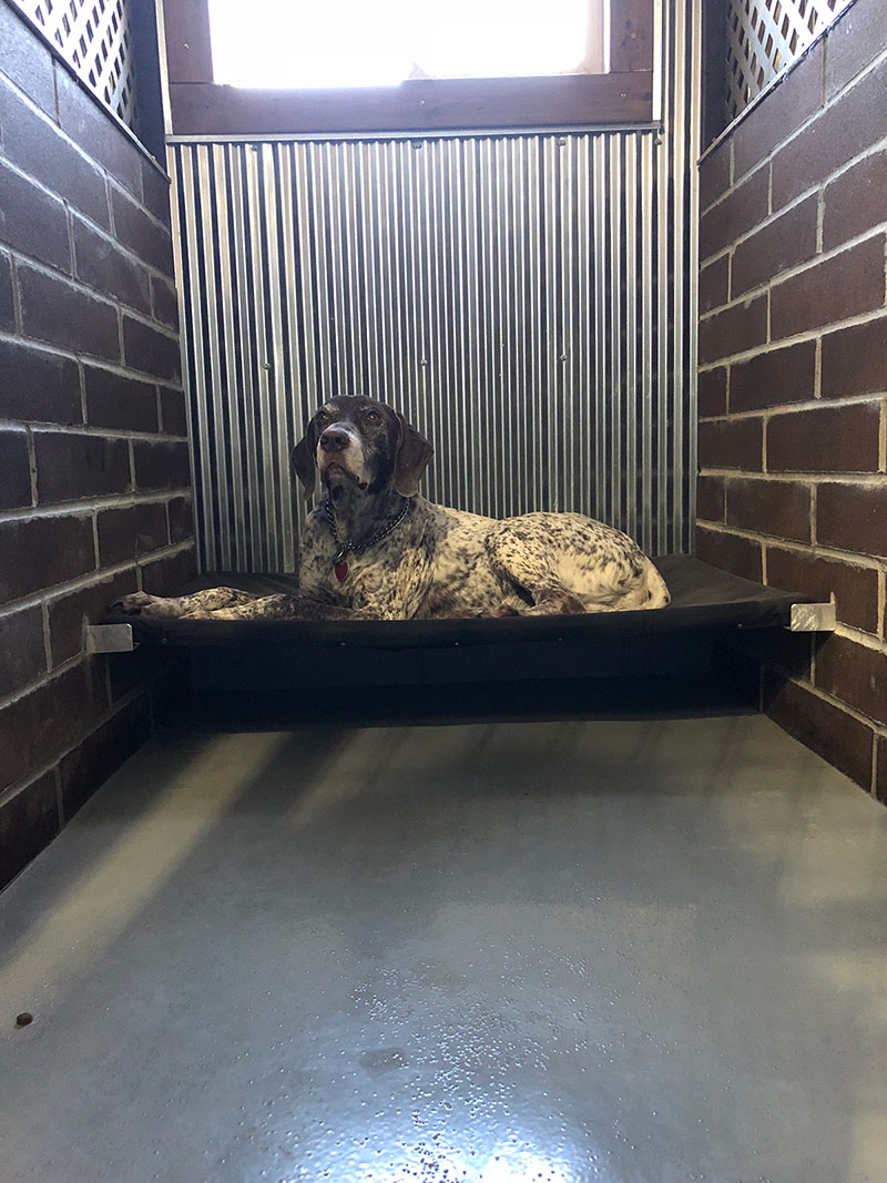 What to Bring Serenity Pond Pet Boarding