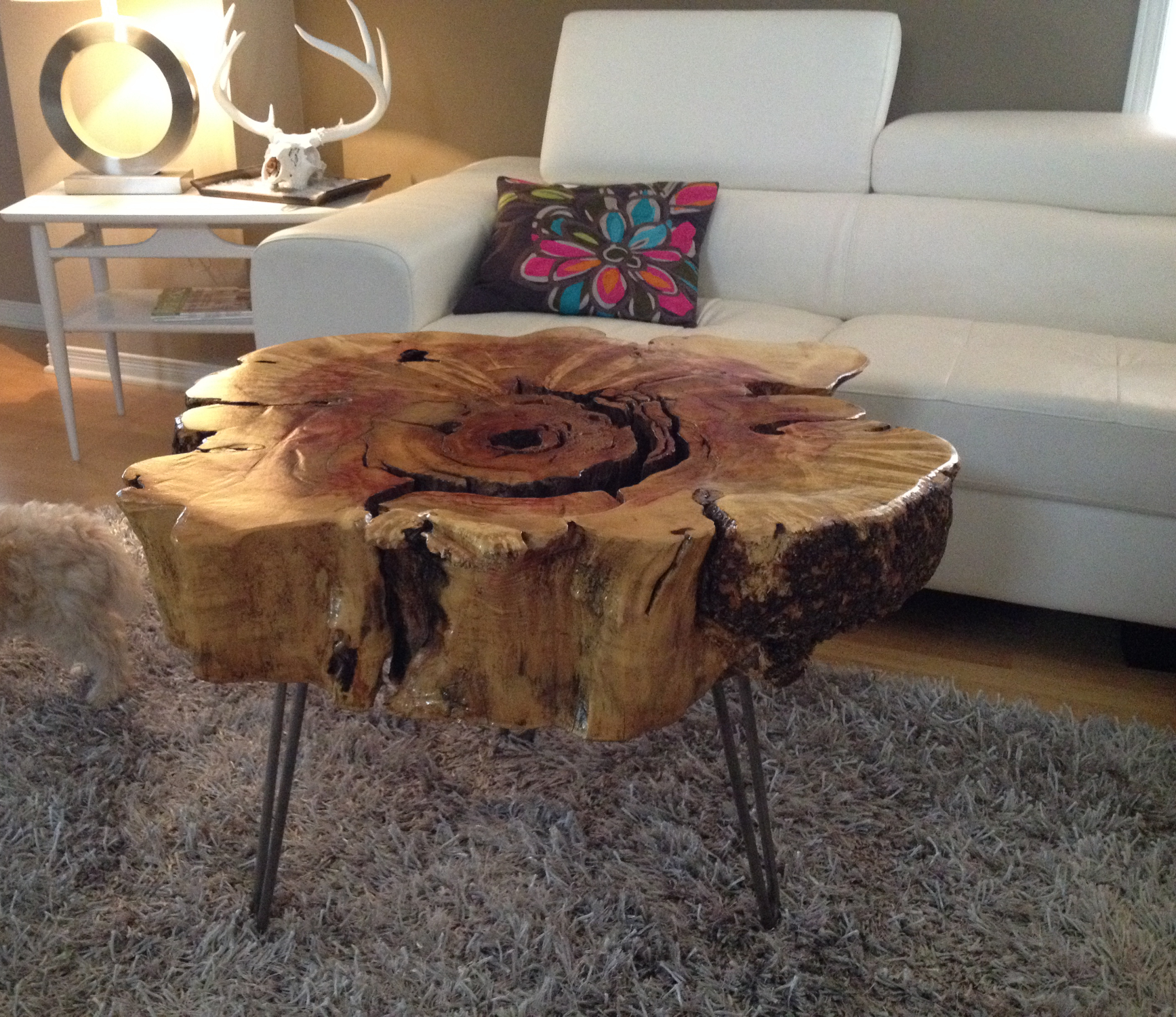 Live Edge Wood, Live Edge Slabs, Reclaimed Wood,Ottawa Ontario