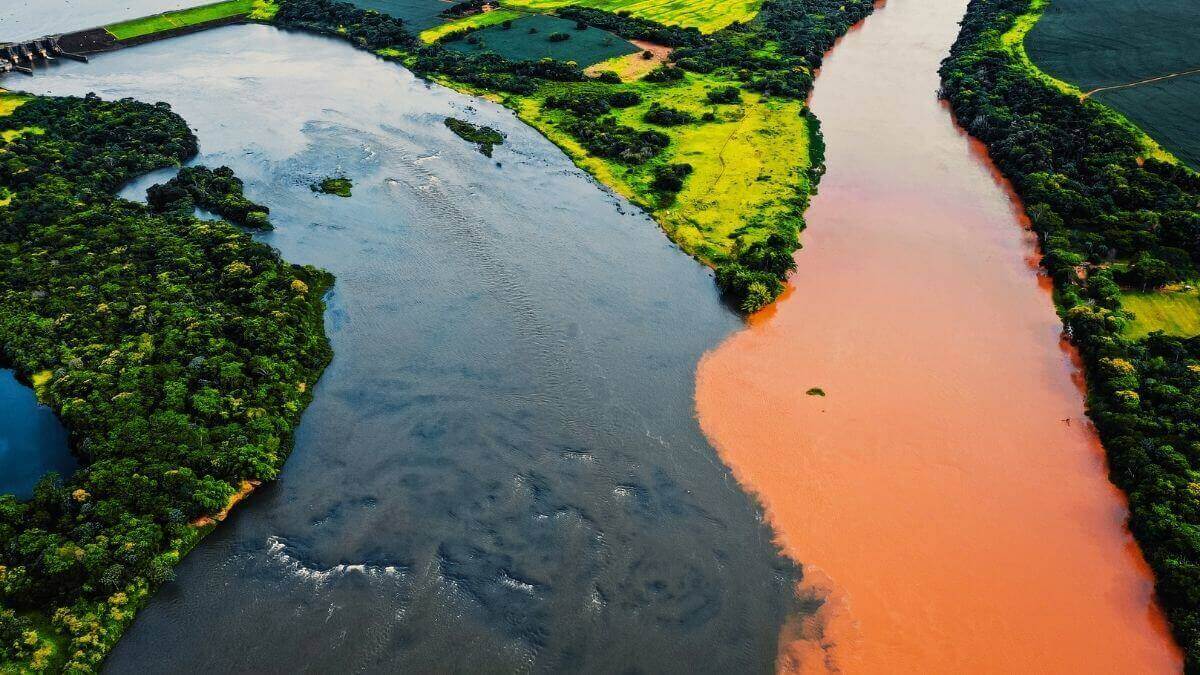 AMAZONAS 8 cosas que no sabías sobre la selva amazónica » Sé