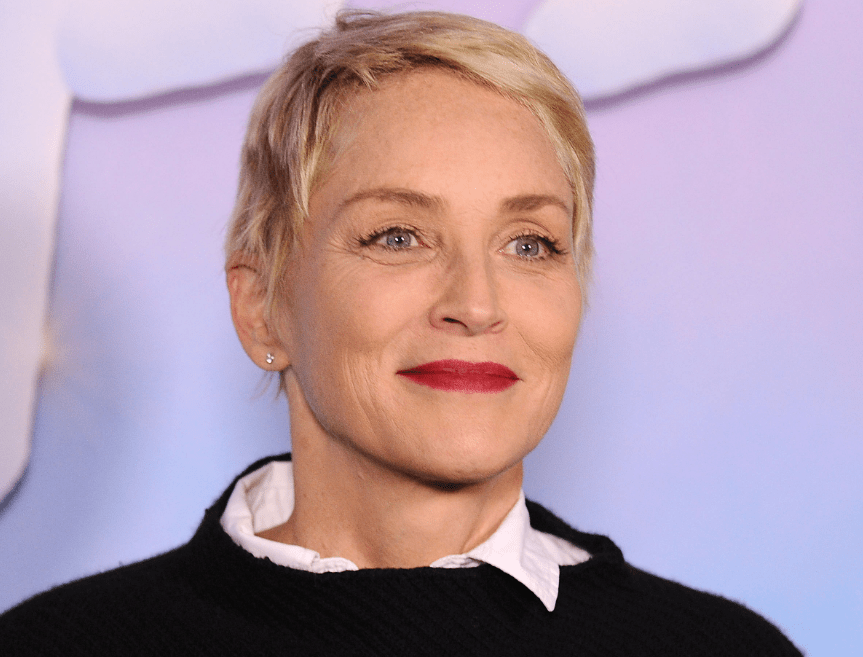 No Plastic Surgery For Sharon Stone? Sharon Stone Plastic Surgery - With Before And After Photos