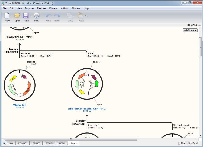 Snapgene Full Version Crack