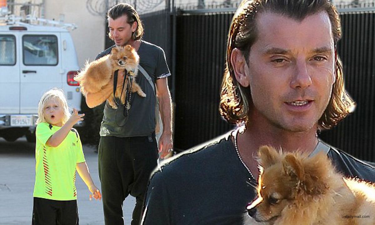 Gavin Rossdale in Sorrow Over Loss of Cherished Dog Chewy 'He Was a