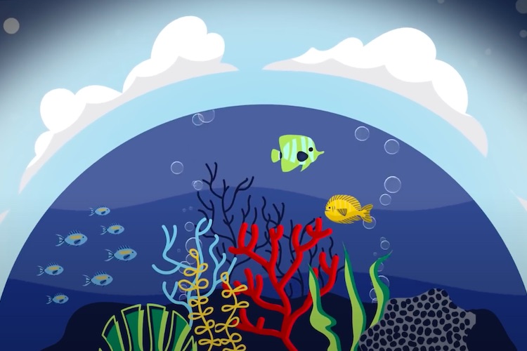 Geysers Serious Science