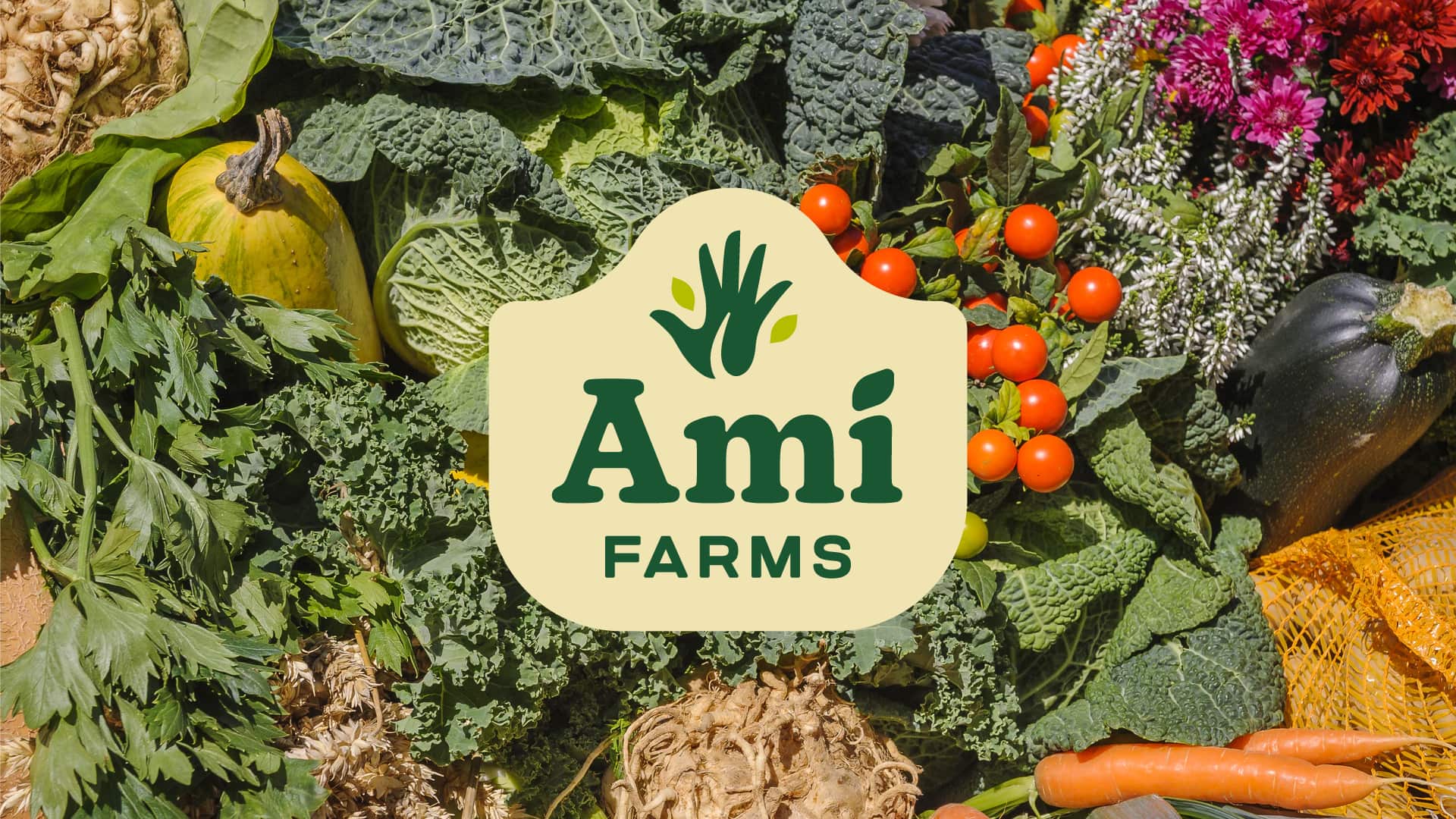 Ami Farms Serious Studio