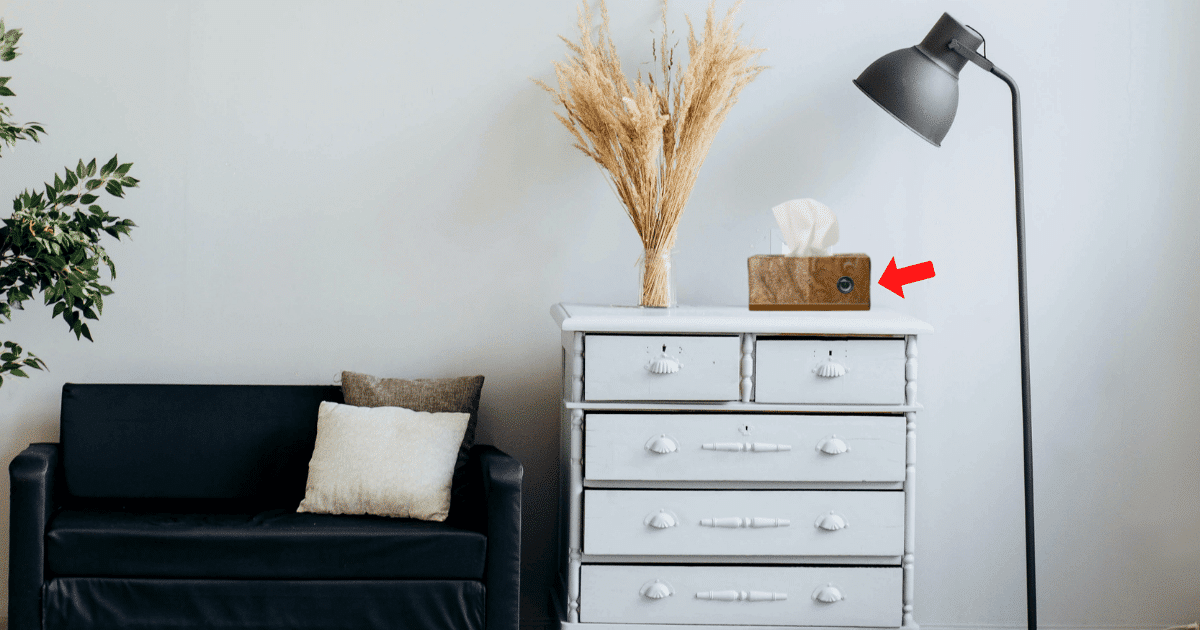 How to Hide a Camera in Plain Sight? (10 Creative Ways)