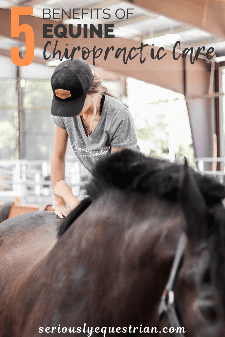 The Benefits of Chiropractic Care for Your Horse Seriously Equestrian